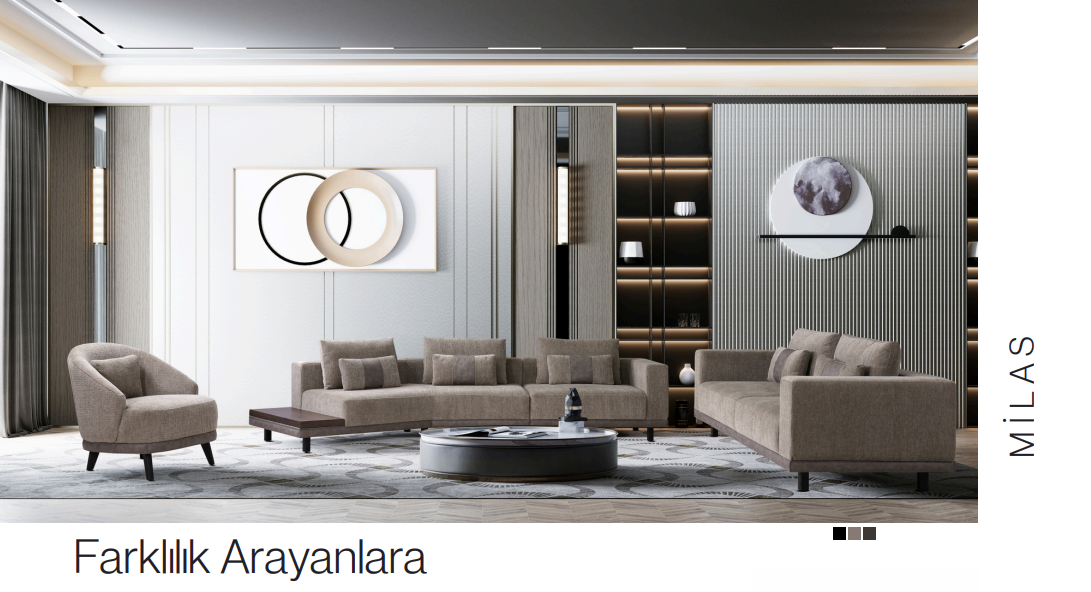 living rooms and sofas